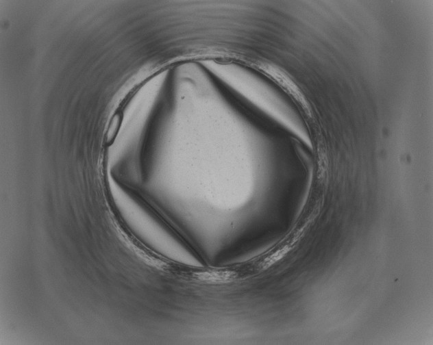 X0000073540805200608211853