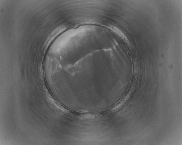 X0000073540806200608211853