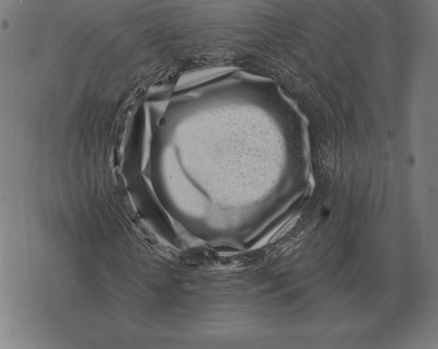 X0000073540818200608211852