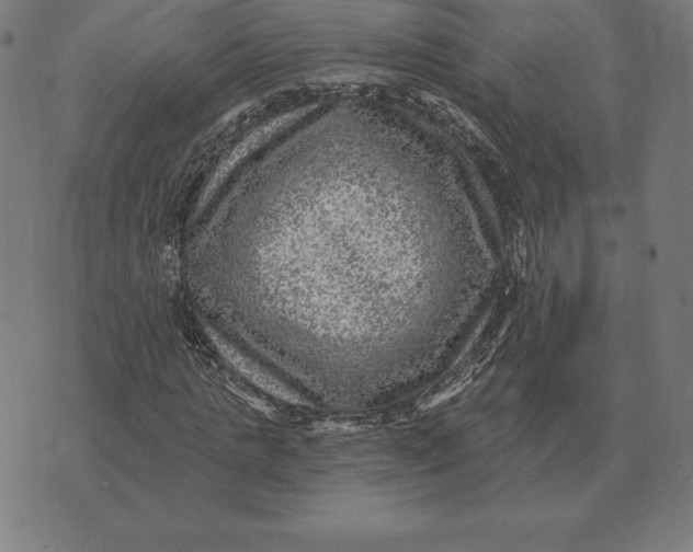 X0000073540821200608211852