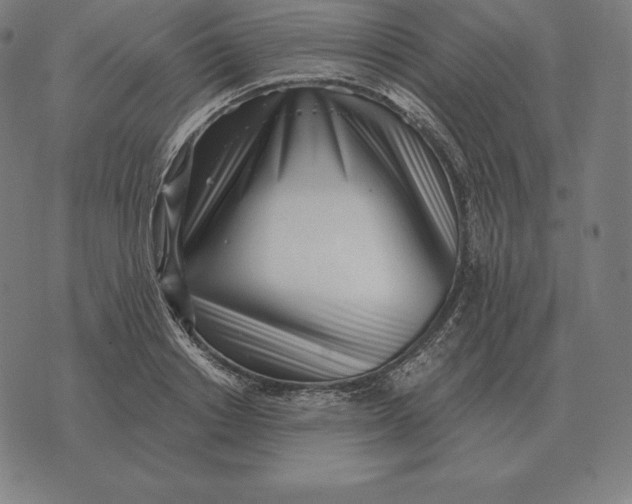 X0000073540842200608211853