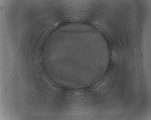 X0000073540865200608211852