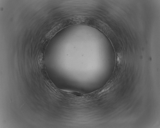 X0000073540867200608211852