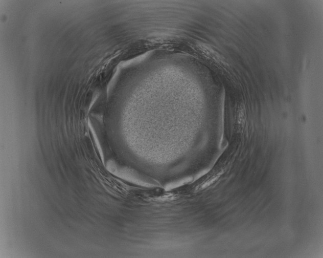 X0000073540868200608211852