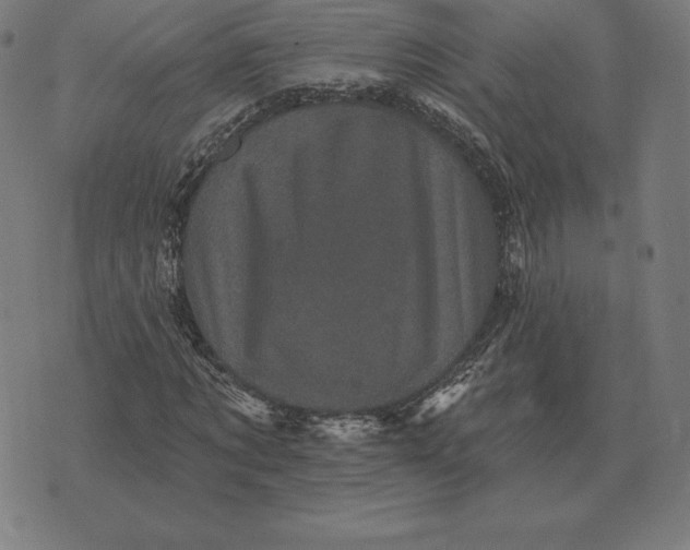 X0000073540869200608211852
