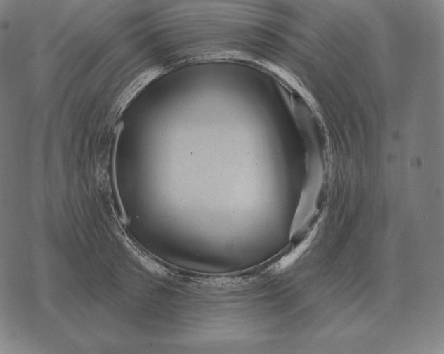 X0000073540897200608211852