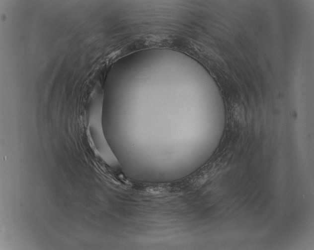 X0000073540914200608211851