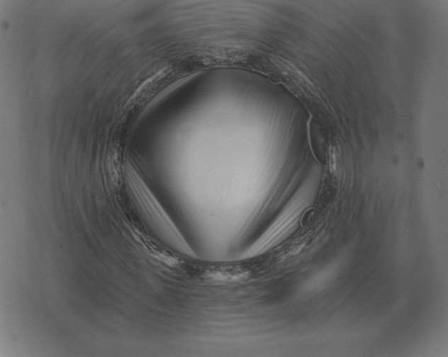 X0000073540915200608211851