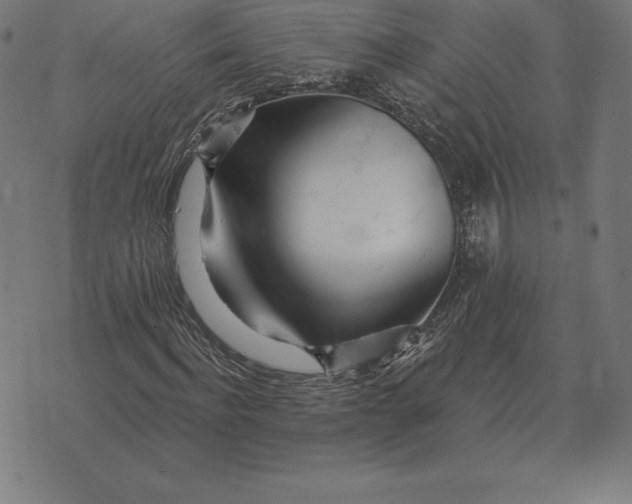 X0000073540916200608211851