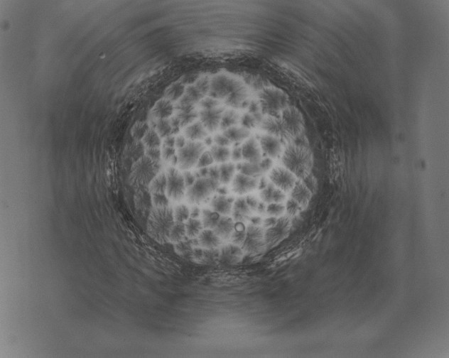 X0000073540917200608211851