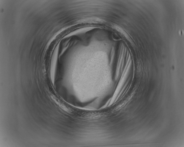 X0000073540923200608211851