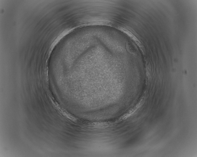 X0000073540933200608211851