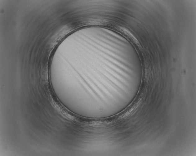 X0000073540938200608211851