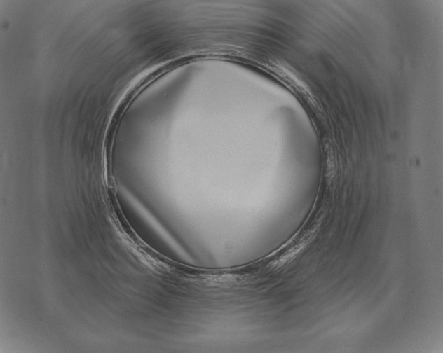 X0000073540940200608211851