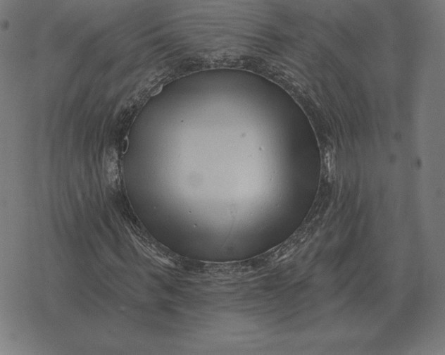 X0000073540963200608211851