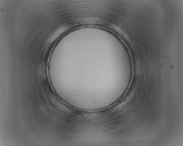 X0000073540970200608211851