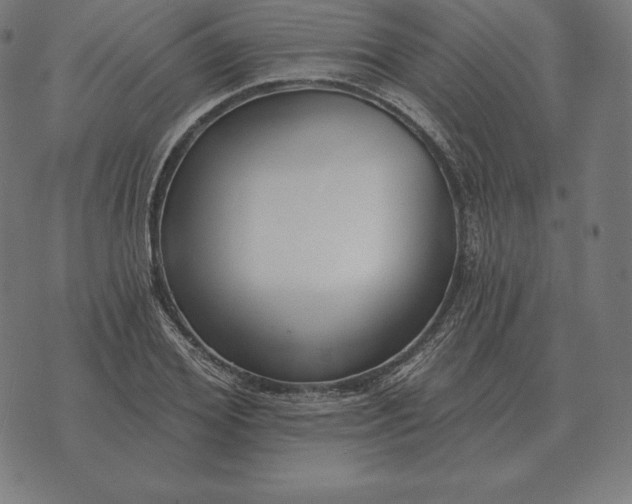 X0000073540980200608211850