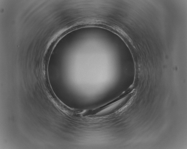 X0000073540981200608211850