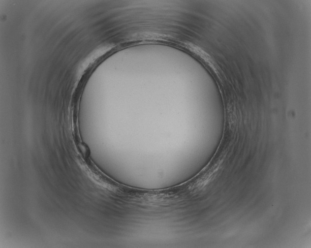 X0000073540987200608211850