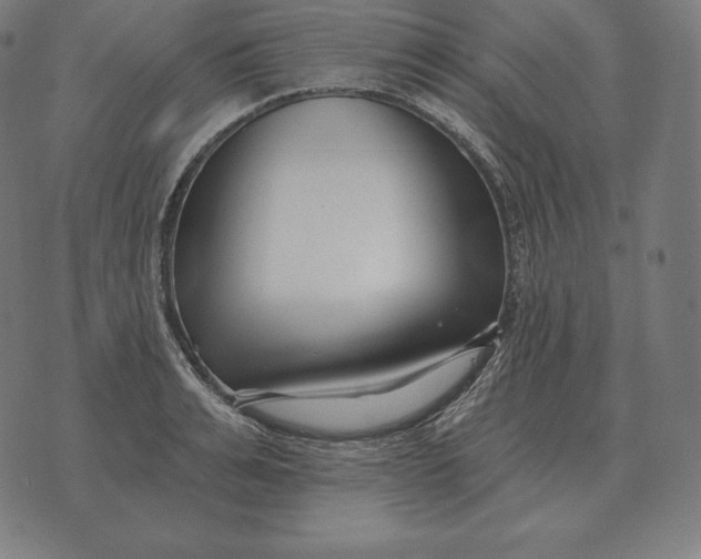 X0000073540991200608211850