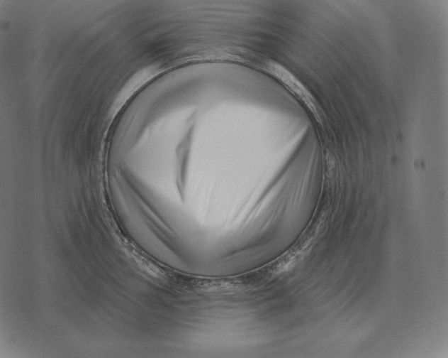 X0000073541002200608211850