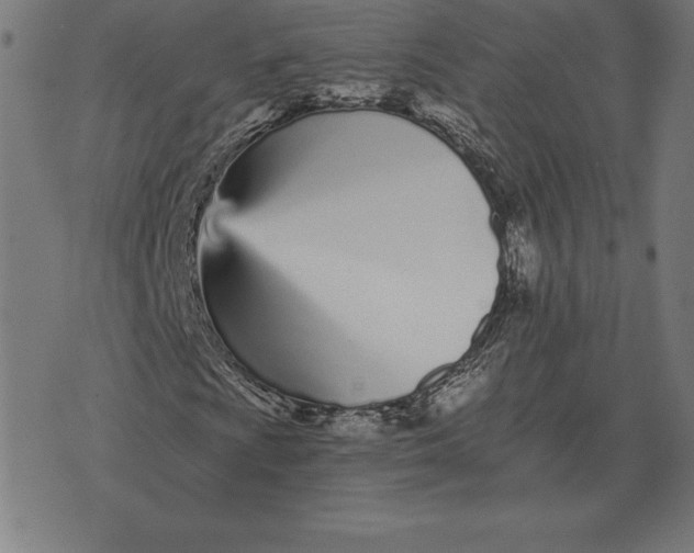 X0000073541009200608211849