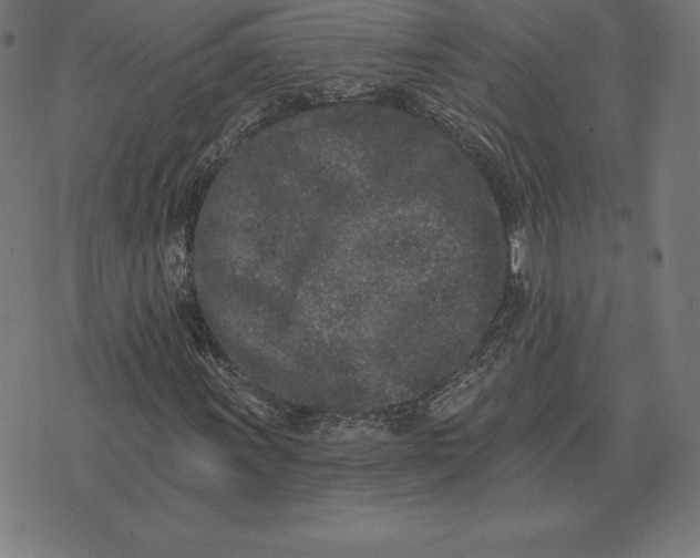 X0000073541011200608211849
