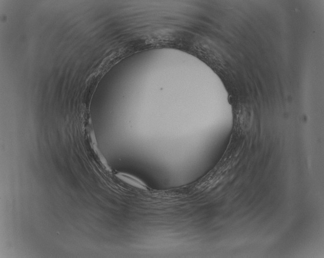 X0000073541012200608211849
