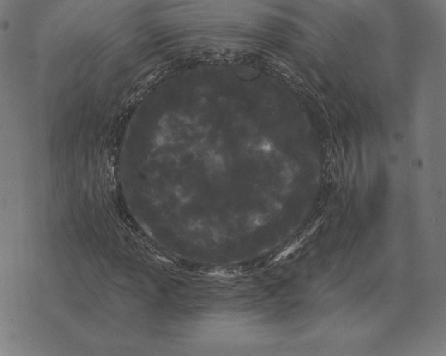 X0000073541013200608211849