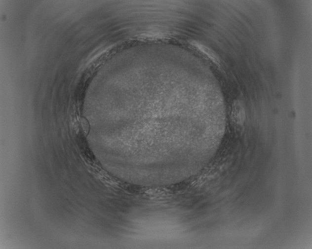 X0000073541015200608211849