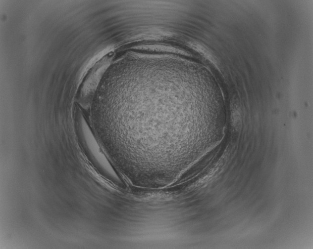 X0000073541026200608211849