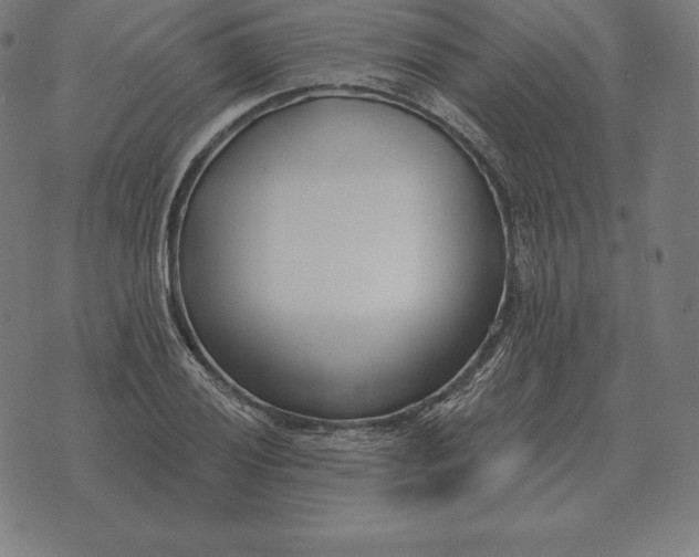X0000073541028200608211849