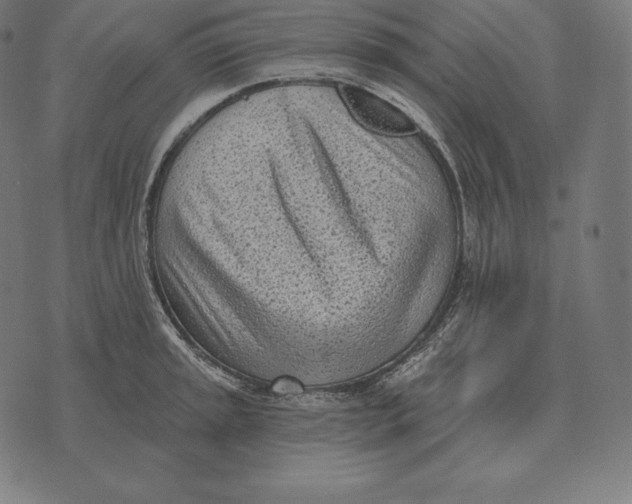 X0000073541045200608211850