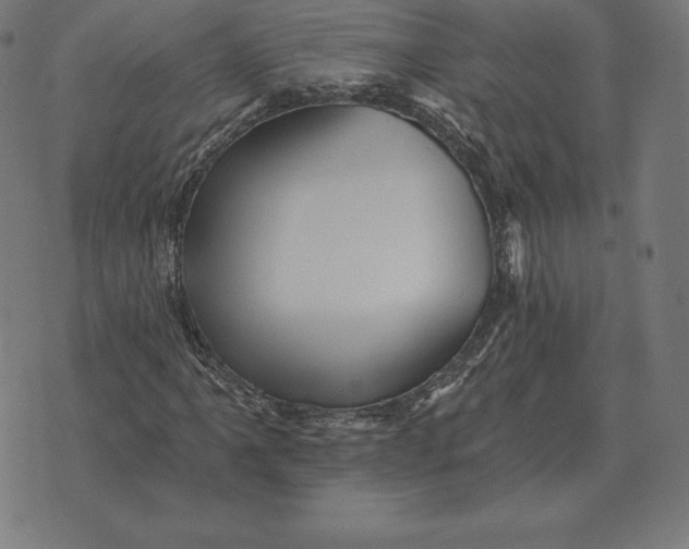 X0000073541061200608211849