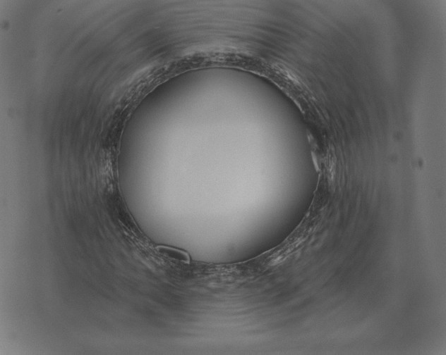 X0000073541062200608211849