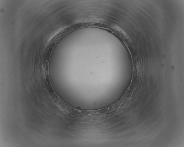 X0000073541064200608211849