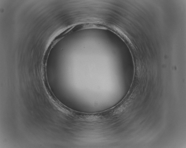 X0000073541085200608211849