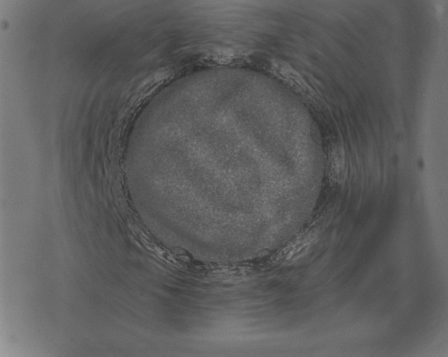X0000073541105200608211848