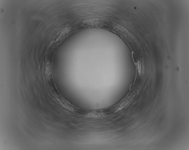 X0000073541107200608211848