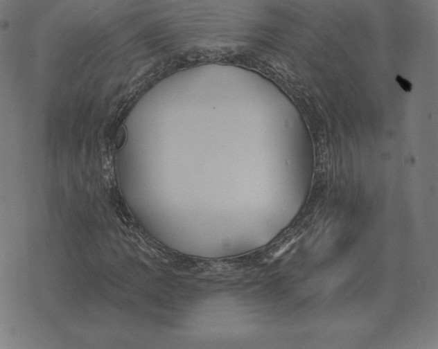X0000073541109200608211848