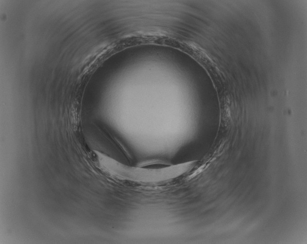 X0000073541110200608211848
