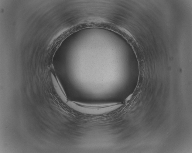X0000073541112200608211848
