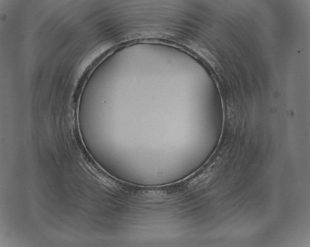 X0000073541119200608211848