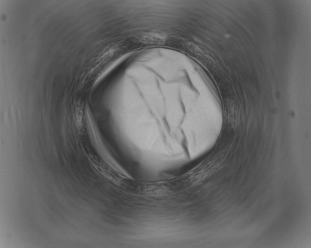 X0000073541154200608211848