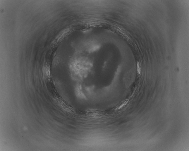 X0000073541155200608211848