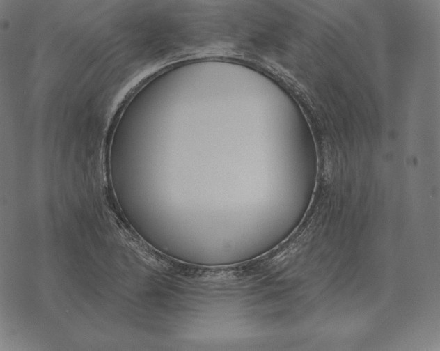 X0000073541174200608211847