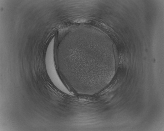 X0000073541202200608211846