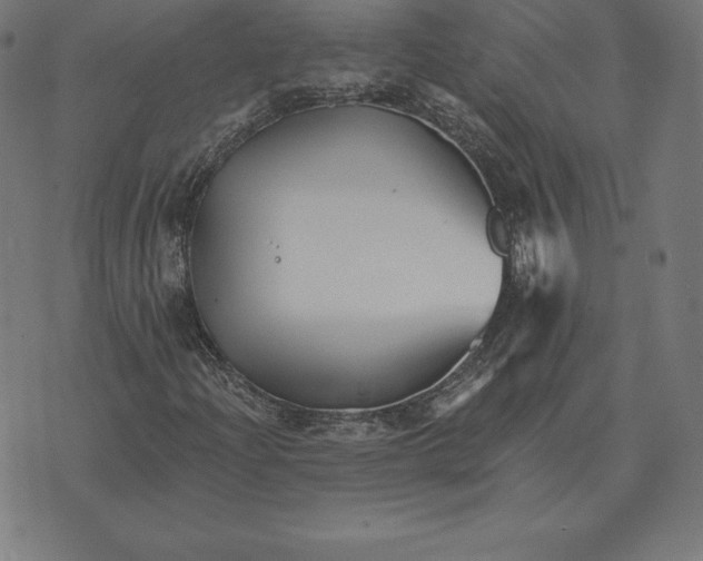 X0000073541204200608211846