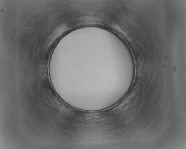 X0000073541211200608211846