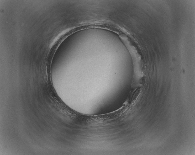 X0000073541214200608211846
